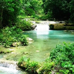 RESERVA EXPEDICIÓN MONTES DE OCA